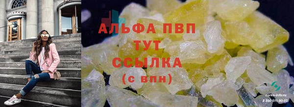 PSILOCYBIN Арсеньев