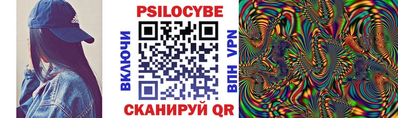Галлюциногенные грибы Psilocybe  купить закладку  Фролово 