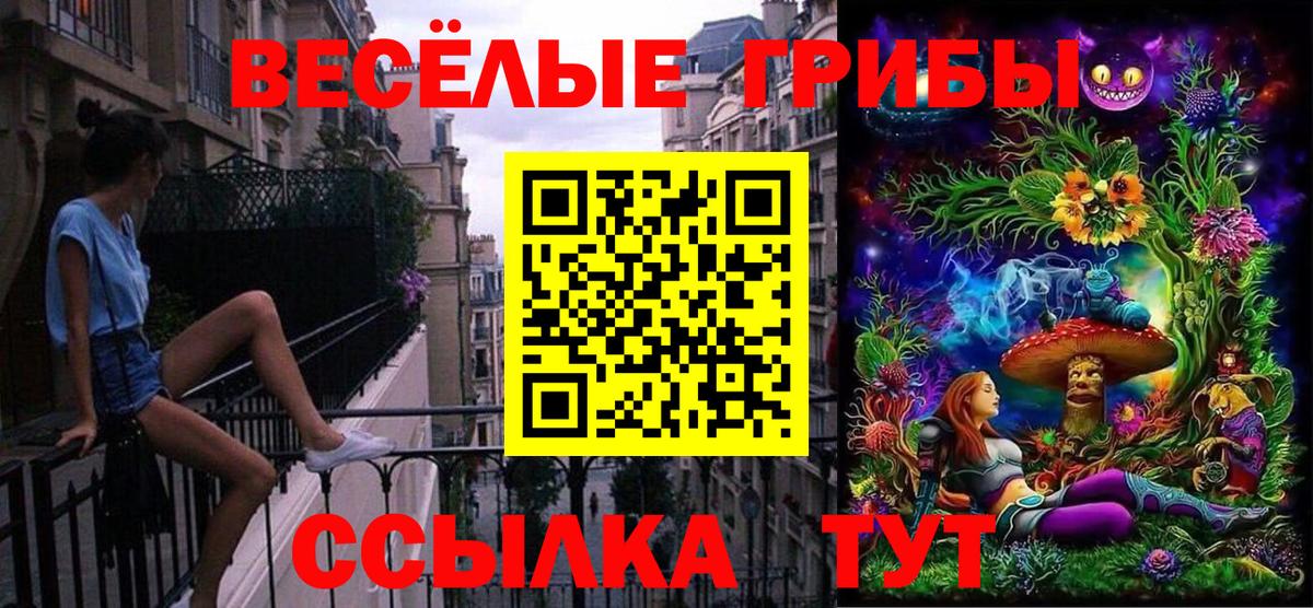 Галлюциногенные грибы Psilocybe Фролово