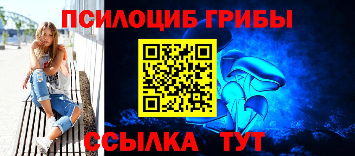 Псилоцибиновые грибы Psilocybe  Вход с VPN  Фролово 